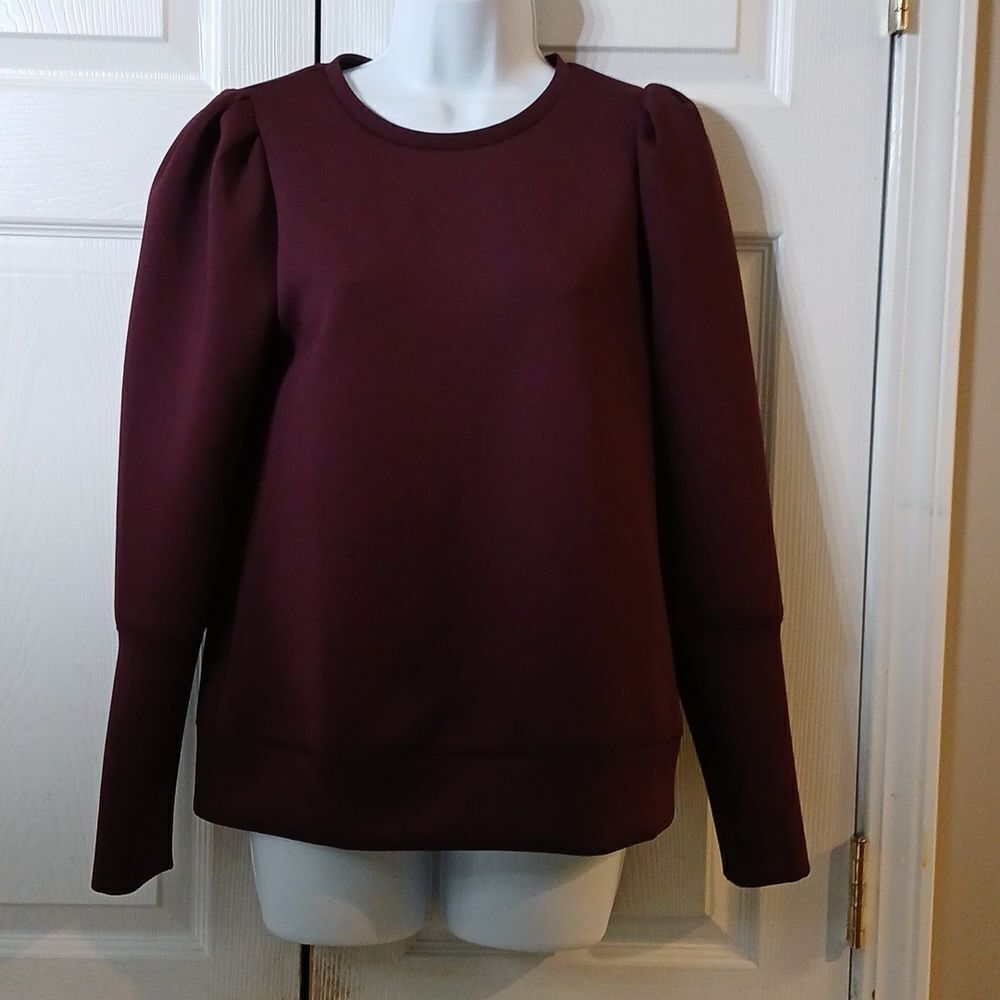 Stella &  Dot deep eggplant color long sleeve pleated sleeve top  Sz S NWT